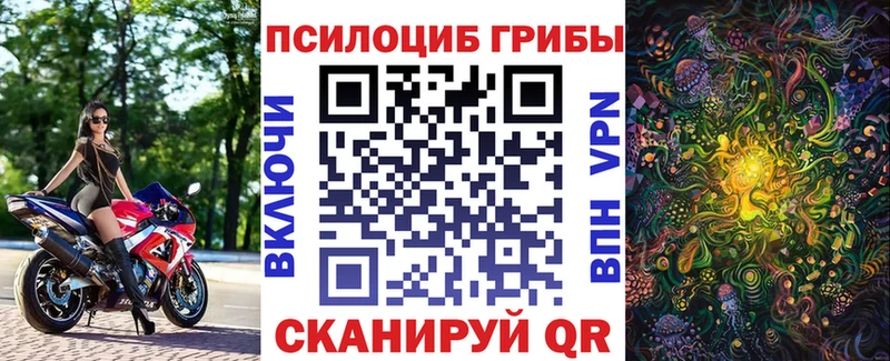 Галлюциногенные грибы Cubensis  где найти   Называевск 